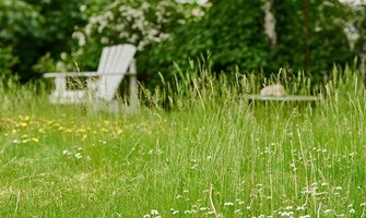 Få en vill hage med biologisk mangfold