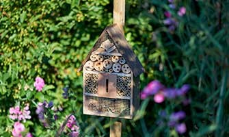 Guide: Få flere insekter i hagen med insektshoteller og planter 