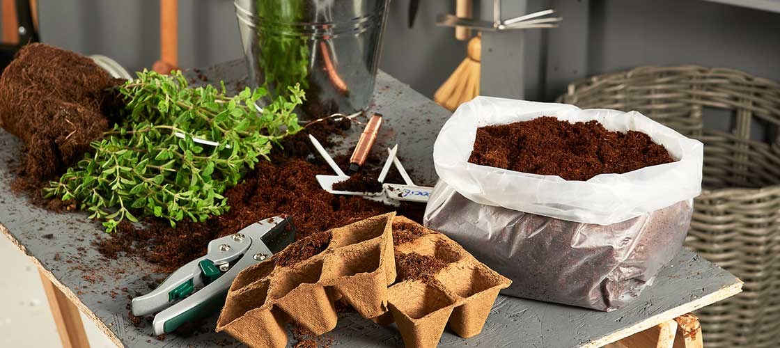 Oreganoplante, plantejord, plantespade og såbrett til forkultivering.