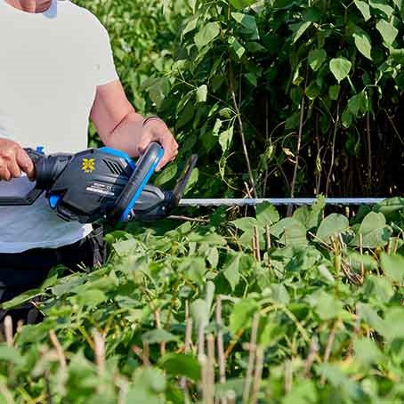 Guide: Which hedge trimmer should I choose?