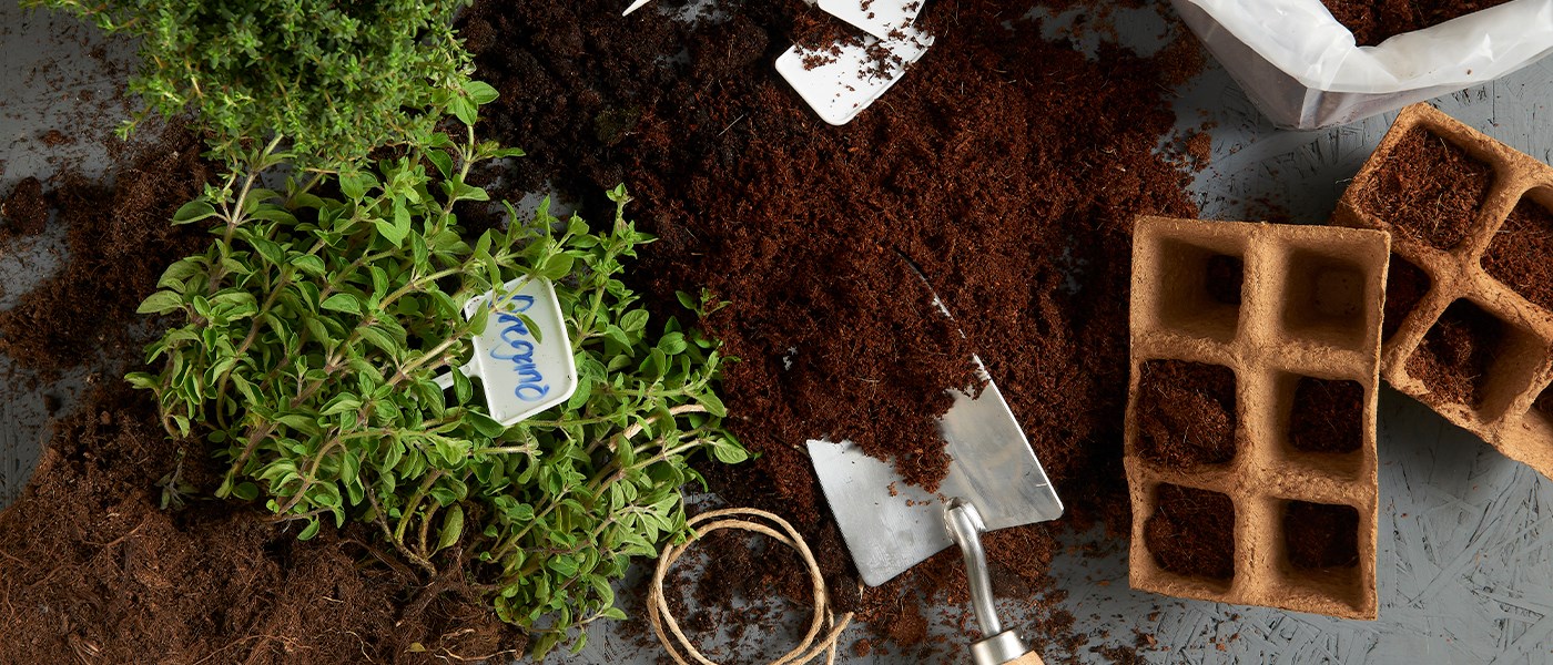 Oregano plant, potting soil, hand trowel and seed-starting tray for growing seedlings.