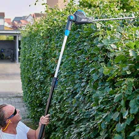 Alt du trenger å vite om å både klippe og klippe ned bøkehekken