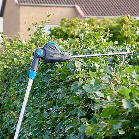Alt du trenger å vite om å både klippe og klippe ned bøkehekken