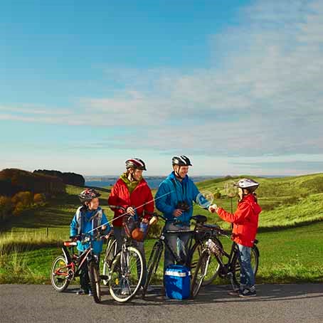 Discover our bikes