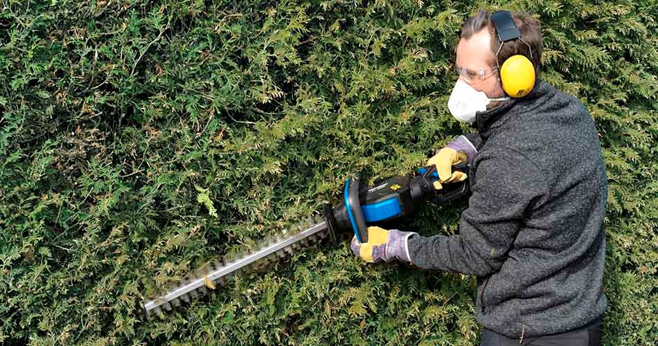 A man uses an electric hedge trimmer to trim a green boxwood hedge. The man is wearing a gray work jacket, hearing protection, work gloves, and a face mask.